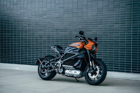 2023 Sur-Ron Light Bee X (Upgraded Battery)