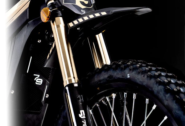 FastAce Front Fork