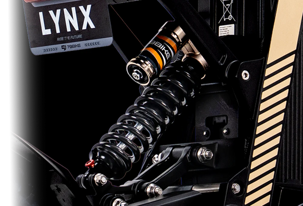 Rear Shock Absorber System