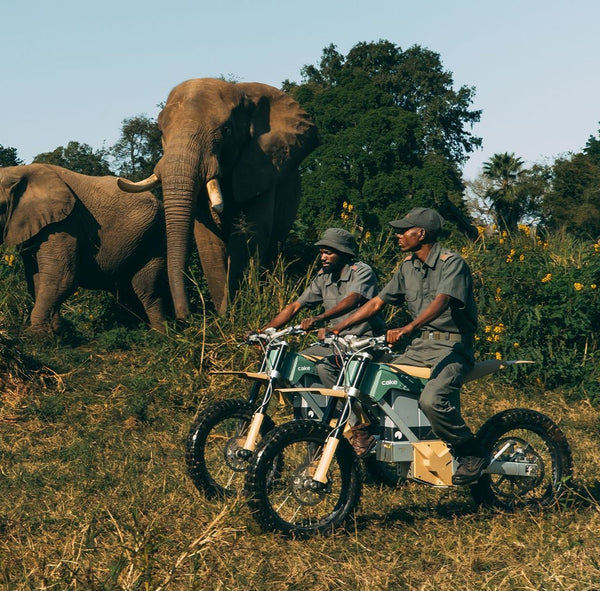 The anti-poaching initiative