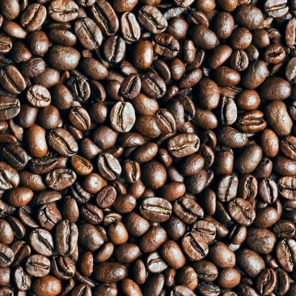 Beachman Monaco Gold Medium Roast Coffee Beans - EMOTO Supply Co. - Apparel - Beachman