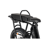 RadRunner Passenger Bundle