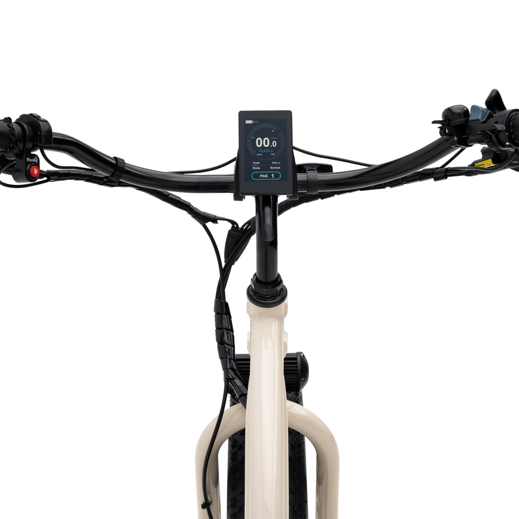 The Fat Murf Step - Thru - EMOTO Supply Co. - E - Bike - Murf E - Bikes - Wholesale